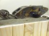 MK1 Tank finished 012.jpg