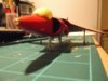 harrier before 004.jpg