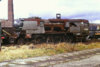 906a.jpg