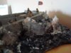 downscale model art 131.jpg