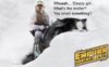 232366,xcitefun-star-wars-cat-5.jpg