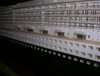 DSCN1057.jpg