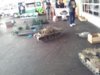 20140609_124159.jpg