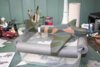 IMG_0061.jpg
