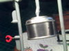 Img00009.jpg