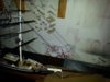 20160619_100033.jpg