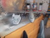 DSCF1570.JPG