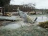 crashed Bf109e 020.jpg