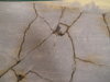 DSCN1216.JPG