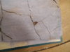 DSCN1217.JPG