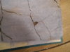 DSCN1218.JPG