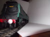 DSCF1608.JPG