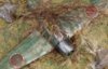 Monogram-1-48-A6M-ZERO1-03072015-thumb.jpg