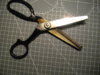 Shears1.JPG
