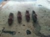 20160626_171325.jpg