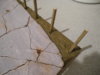 DSCN1230.JPG