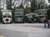 DSCF1629.JPG