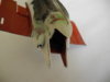 DSCN1416.JPG
