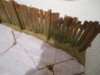 DSCN1233.JPG