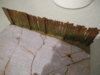 DSCN1234.JPG