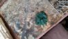 20160924_074858.jpg