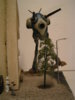 PICT0006.JPG