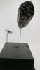 x-wing_rebel_transorter10e_zpsid5ntkeo.jpg