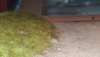 20170101_210134.jpg