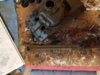 20170428_072247.jpg