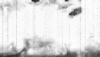 imageedit_5_7168984241.gif