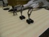 DSCN1841 [Desktop Resolution].JPG