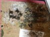 20170429_055029.jpg