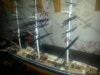 20160630_172012.jpg