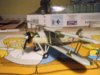 swordfish 8 002.jpg