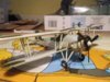 swordfish 8 004.jpg