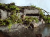 diorama 087.jpg