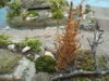 diorama 105.jpg