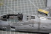 DSC_4172.JPG