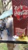 20160715_132159.jpg