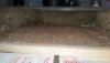 20170115_131624.jpg