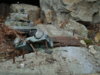 my tanks 092.jpg