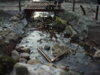 my tanks 095.jpg