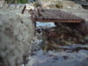my tanks 096.jpg