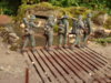 fin. dio.sept 2009 018.jpg