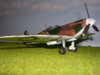 DSCN1143.JPG