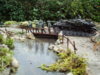 fin. dio.sept 2009 011.jpg