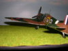 DSCN1146.JPG