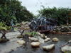 fin. dio.sept 2009 012.jpg