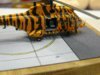 P1110881 [Desktop Resolution].JPG