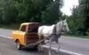 half-a-car-and-a-horse-jpg.jpg